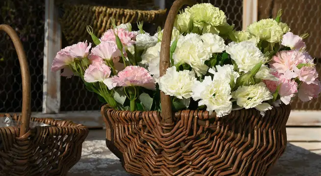 Willow weaving handicrafts: the only way from tradition to e-commerce